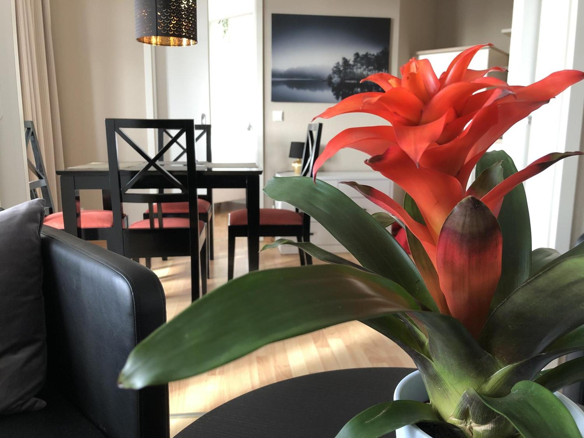 Sehnsucht Ruegen Ferienappartements Sellin  Екстер'єр фото
